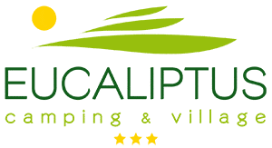 Eucaliptus