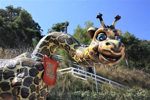 Professional Entertainment