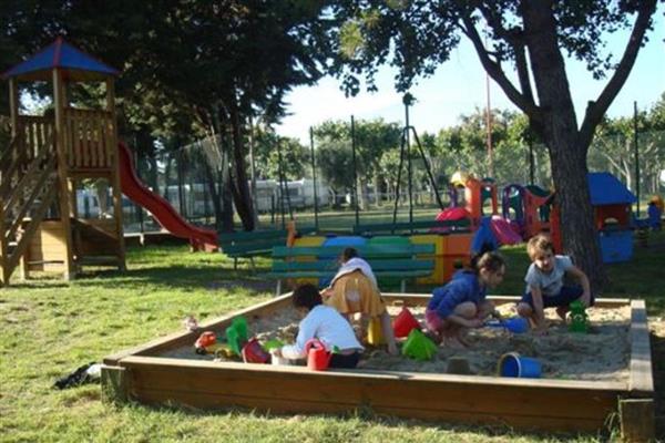 Professional Entertainment