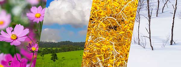 kemp otevřený po celý rok